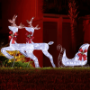 3-Piece Lighted Set Of 2 Reindeer & Sleigh