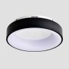 15.75 INCH Modern Farmhouse LED Ceiling Light