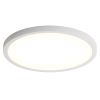 11.8 Inch Flush Mount Ceiling Light, 20W LED+Nightlight Ceiling Light Fixture
