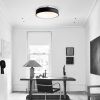 15.75 INCH Modern Farmhouse LED Ceiling Light