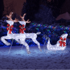 3-Piece Lighted Set Of 2 Reindeer & Sleigh