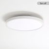 11.8 Inch Flush Mount Ceiling Light, 20W LED+Nightlight Ceiling Light Fixture