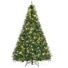 HOMCOM 7ft Pre-Lit Full Douglas Fir Artificial Christmas Tree with Realistic Branches, 700 Warm White LED Lights and 2154 Tips