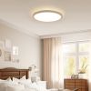 11.8 Inch Flush Mount Ceiling Light, 20W LED+Nightlight Ceiling Light Fixture